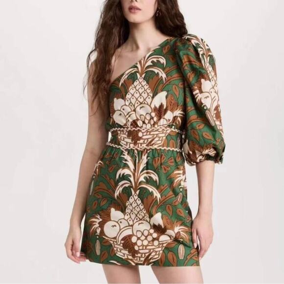Cara Cara Dresses & Skirts - NWT Cara Cara Danielle One Shoulder Cotton Mini Dress Green Fruit Basket Size XL